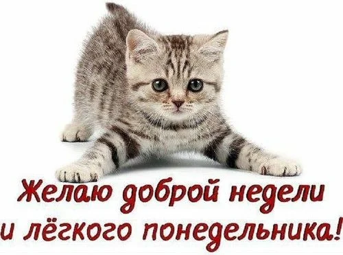 6677513b6a6cc3a21b9f80155635d79d.webp