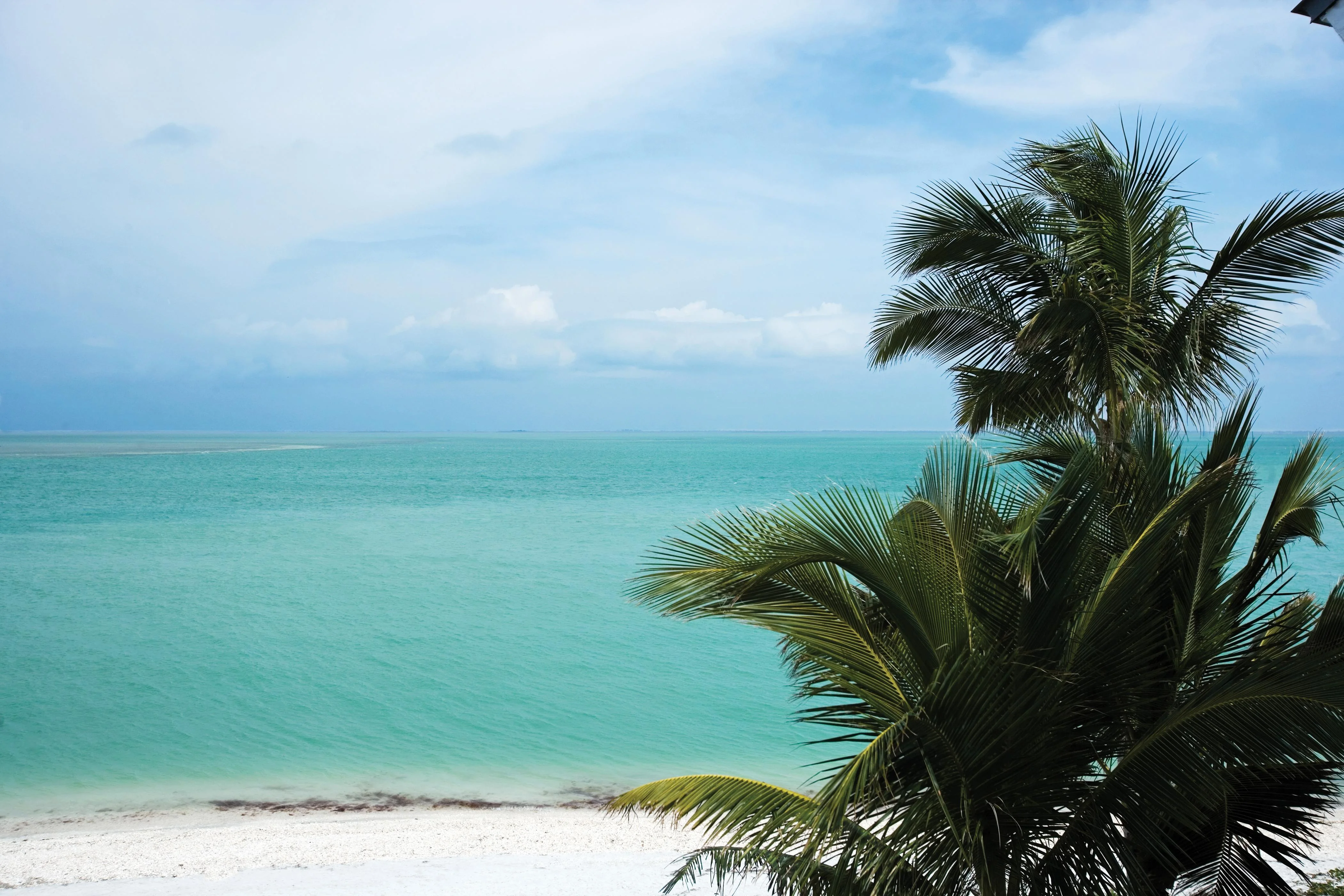 667_2397_2015-10-07T07-07-27_South_Seas_Island_Resort - Beach with Palm in foreground.webp