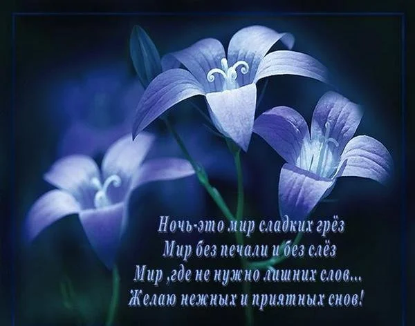 66806_1_1385071191919.webp