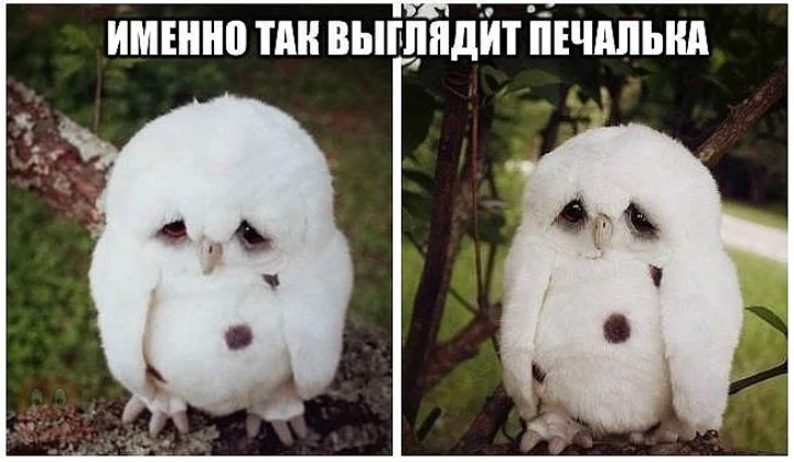 66bad2c60f51b3e0ad2bd325d4e77029.webp