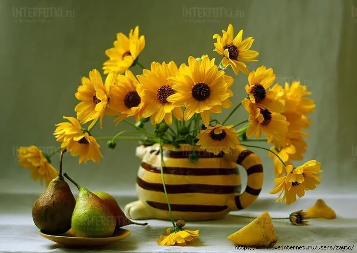 67049800_1290687362_7cnvba_grid.webp