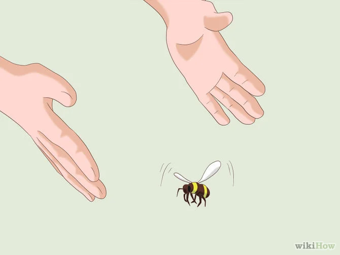 670px-Kill-a-Bee-Step-3Bullet1.webp