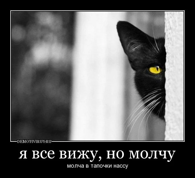 677602114.webp