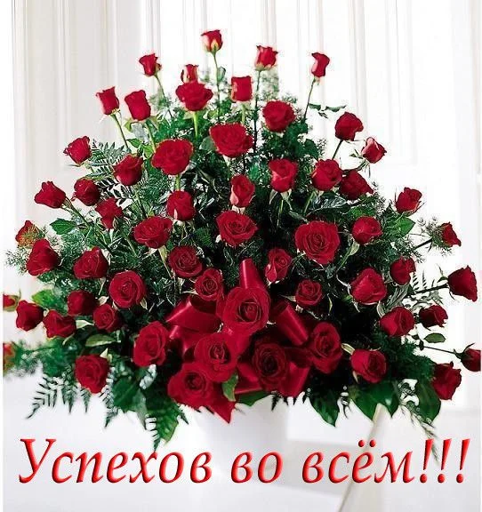 67821.webp