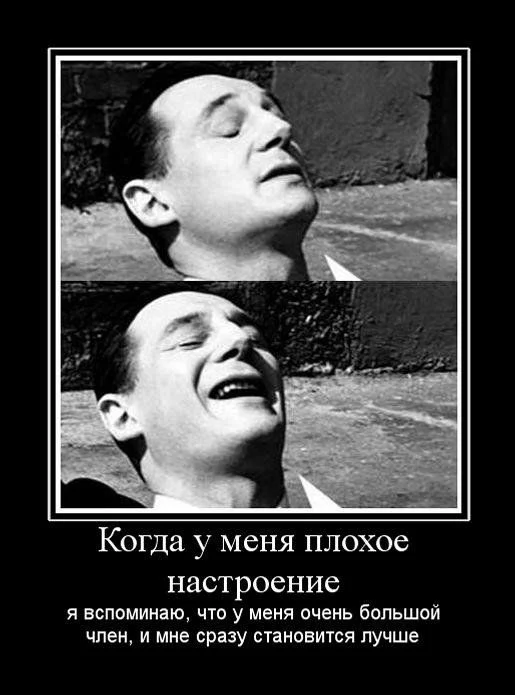67e7a12fc4617130a8837530596cf723.webp