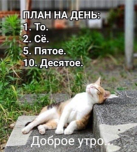 68150E99-EB79-450F-85EA-73EF0889C4C3.jpeg