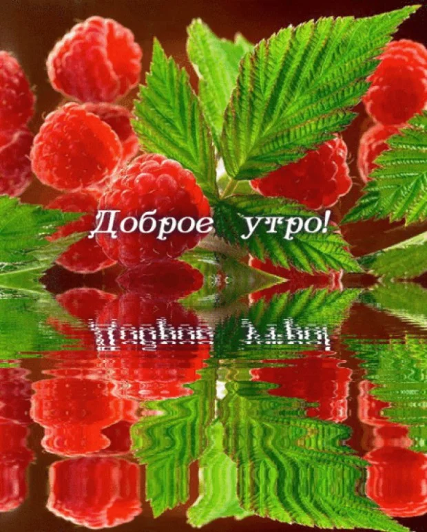 682138557080179456.webp