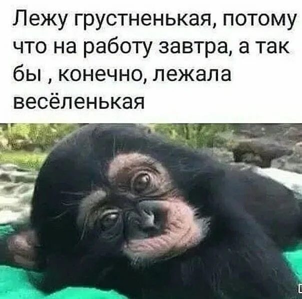 6868b432d262fdf5227c0f8a59f39562[1].webp