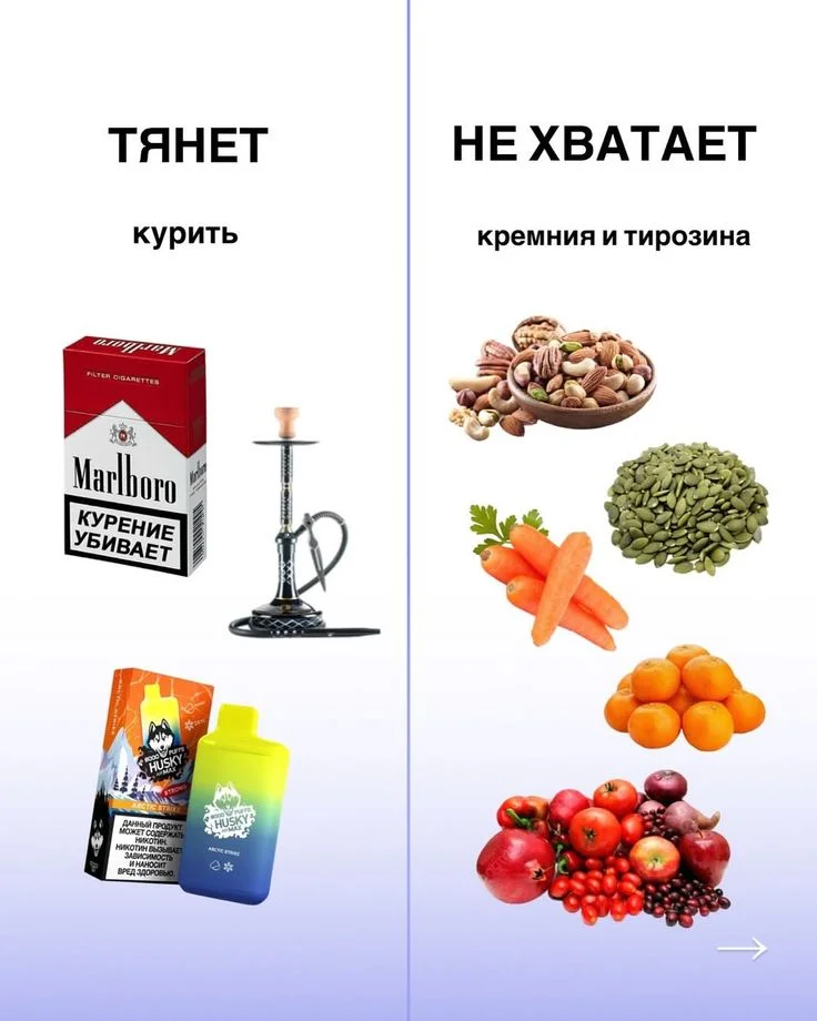68e8c10d2b6e4e0df9cda04a4ced2e87.webp