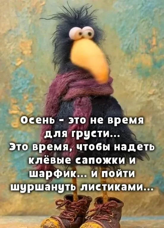 69216eddfba57df0b5ca780deafbde35[1].webp
