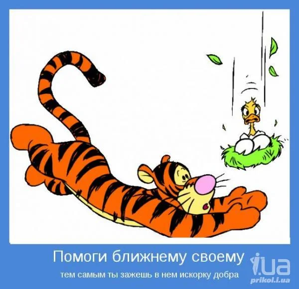 696046_763210.webp