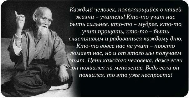 69823.webp