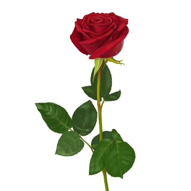 6987c5dae6ff.webp