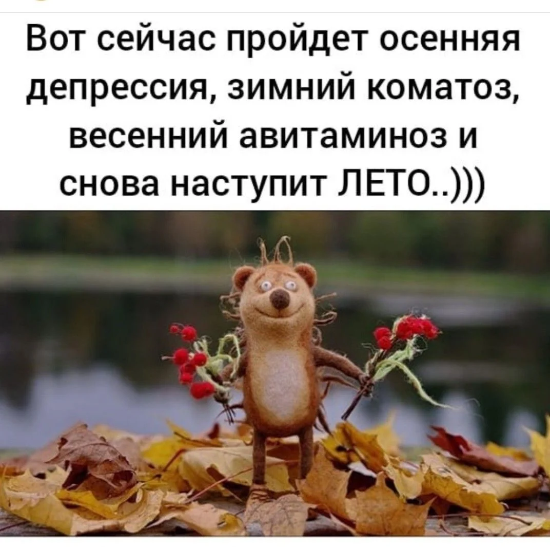 69b70dc163ba7964c7c52cf5fe890a75[1].webp