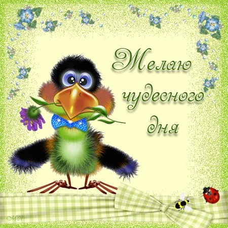 69defa70ca38.webp