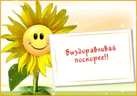 6a9fce11c894.webp