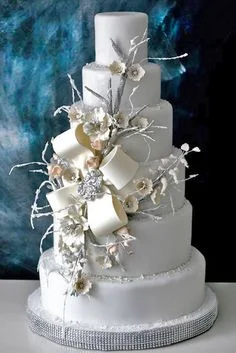 6b38d83f73d1839d951d8bdb3b60091b--winter-wedding-cakes-winter-cakes.jpg