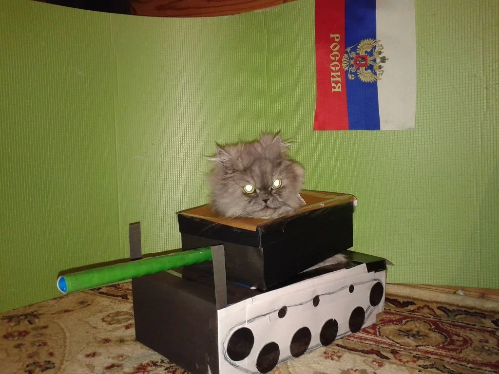 6c260137f13a (1).webp