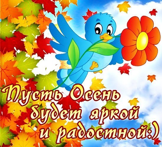 6c46cf15db19bbf0dae365f4f019c7fd.jpg