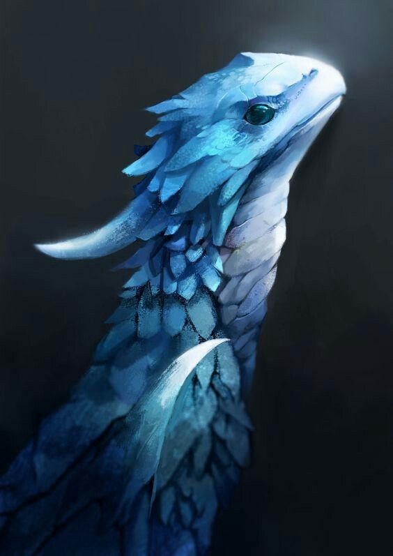 6c6ca3f78b9cd4acc5bb89c7cf4ed684--ice-dragon-dragon-art.jpg