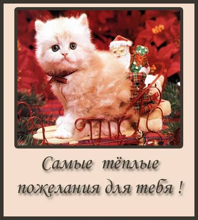 6dfb96956398.webp