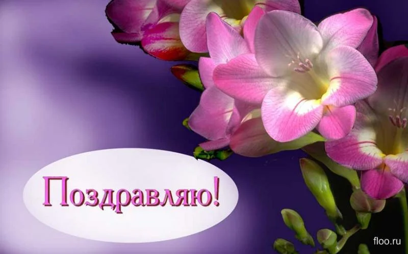 6ef5f.webp