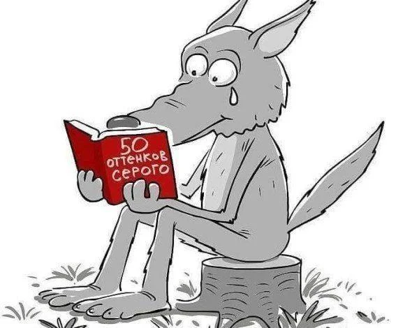 6f3e77cf-8932-493b-aa4e-96bf6926ccb3-large.webp