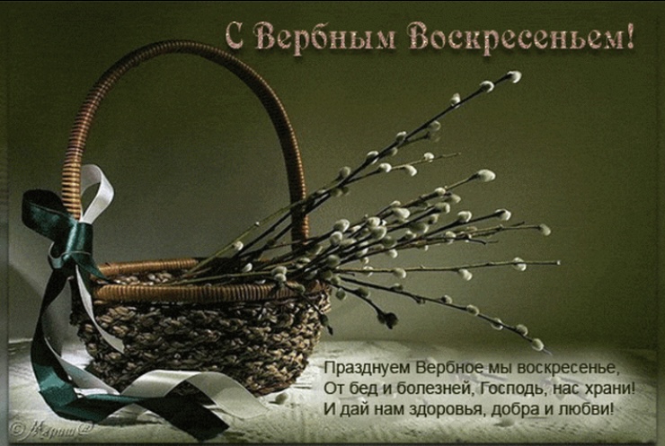 6FF3E678-A966-492D-8E22-DFEC2CF5A689.jpeg
