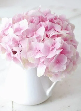 6glH3sumYhY.webp