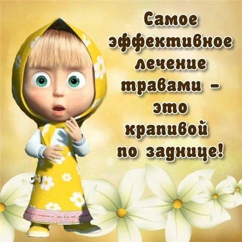 6pZUlf0SlBE.webp