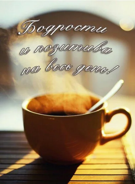 6vSyvB6ATUQ.webp
