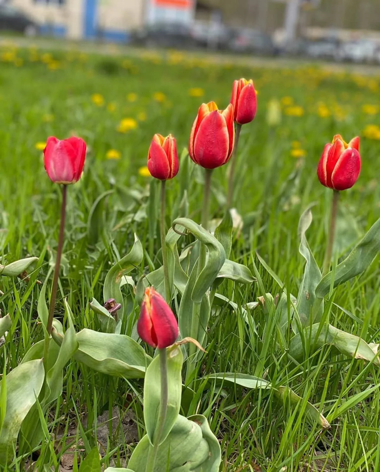 7 @Алёна909.webp