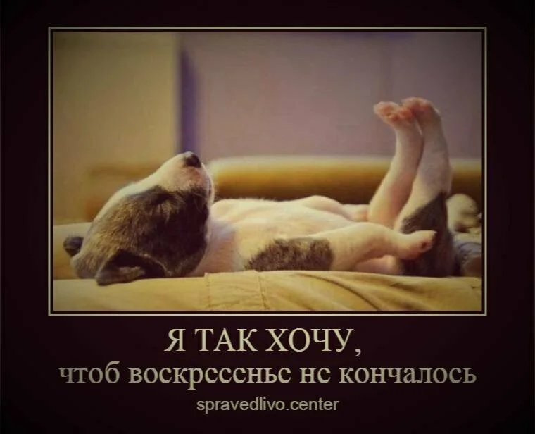 7 IMG-5eaff2263ce434ba083b76683a065876-V (1).webp