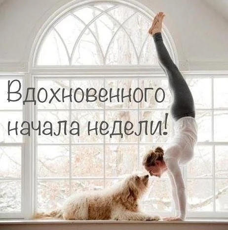 7.webp