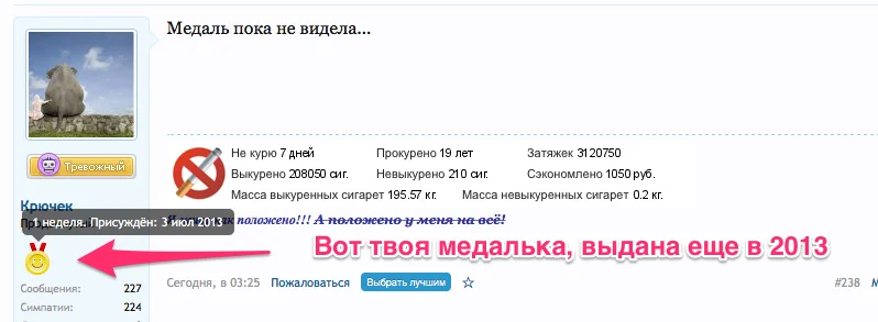 7.webp