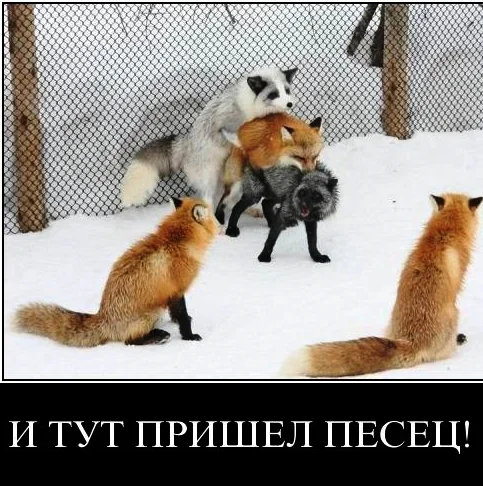 700bf0.webp