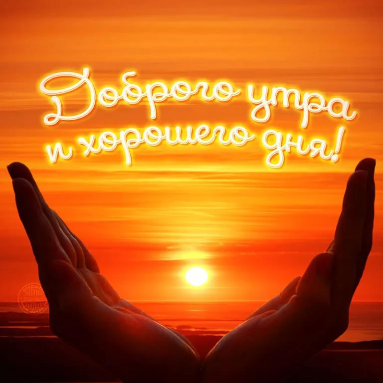 70B8F420-F0E4-4D12-9C62-A3F89859B932.jpeg