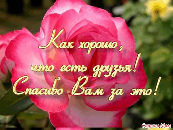 7119477_28865.webp