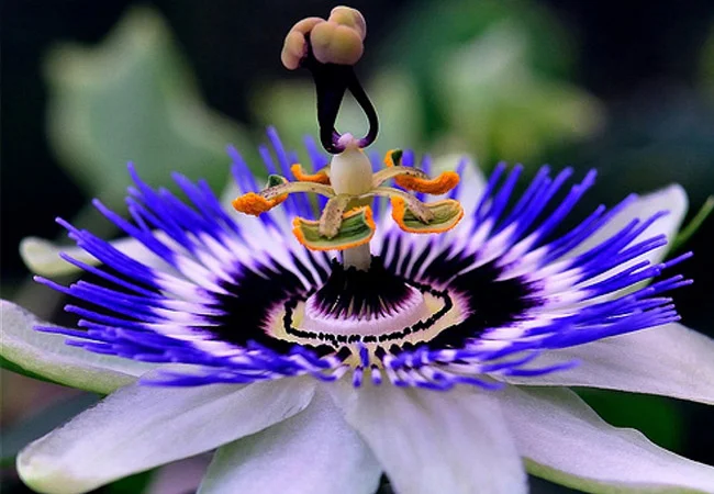 71f8ff8dc626f57f0c24625b32a64aaa (1).webp