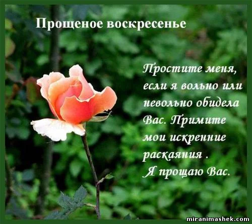 72328347.webp