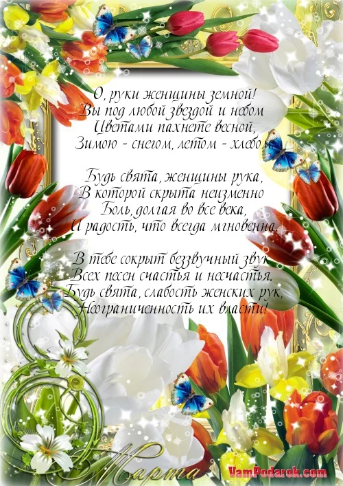 7242.webp