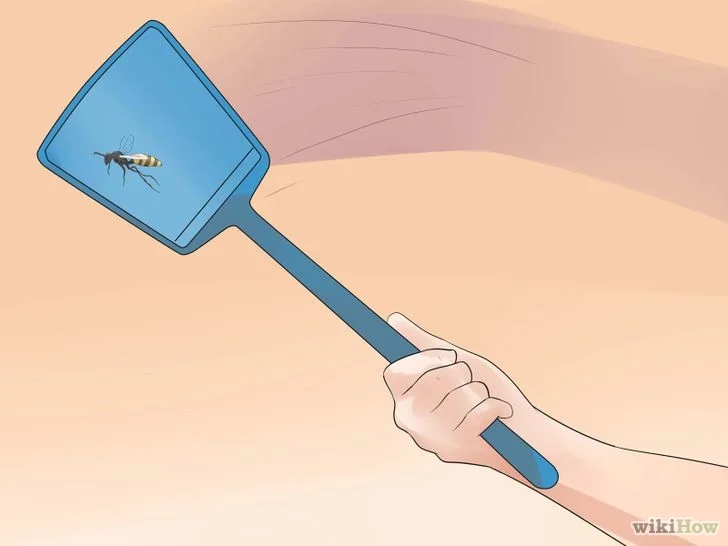 728px-Kill-a-Wasp-Step-5.webp