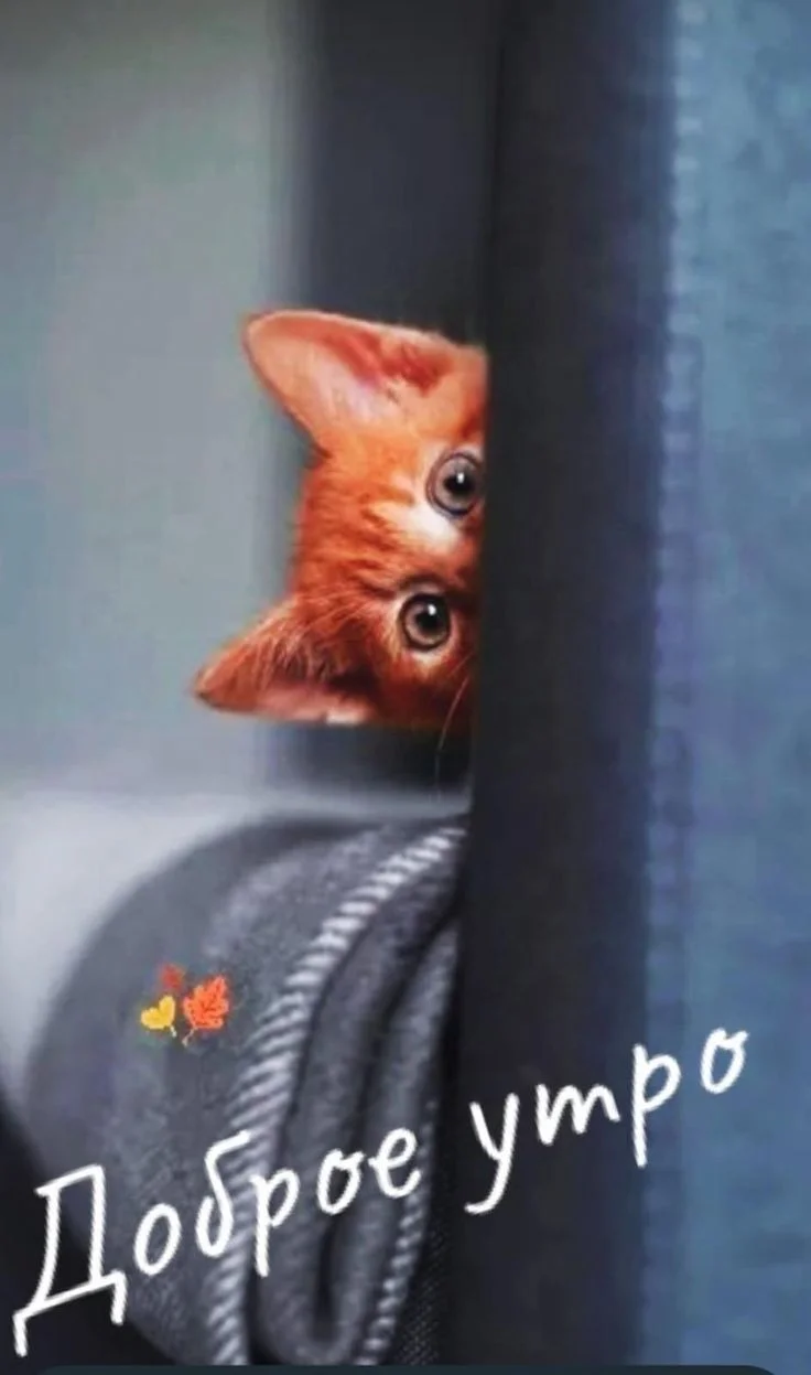 736f47450f109f66156bfb1f4c3b926d (1).webp