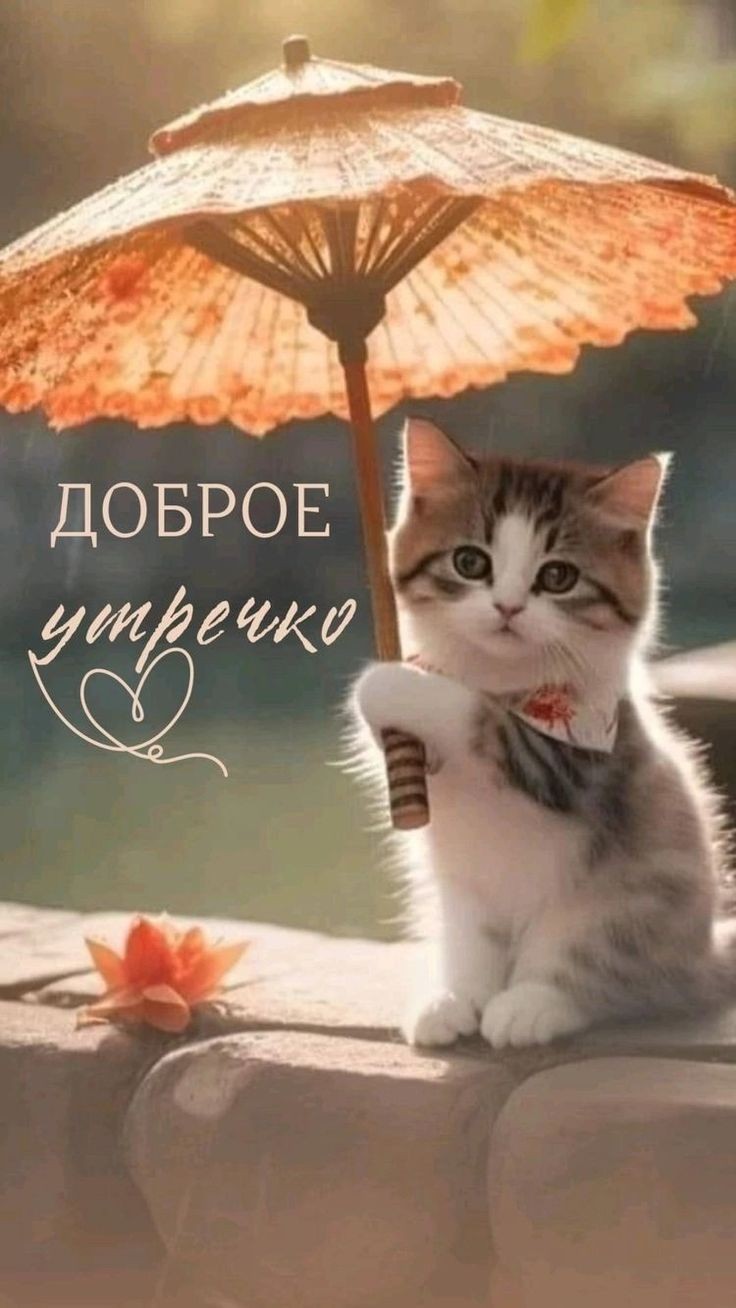 741715d07036b36770597e7acc0ed5f0.jpg