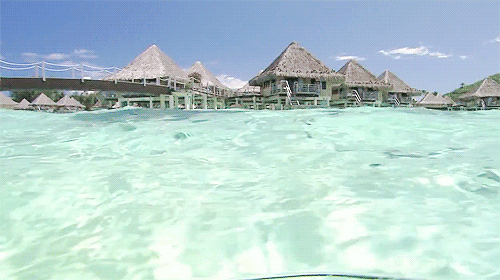 74544dc5ae97abfd3001a0c975e9b53a.gif