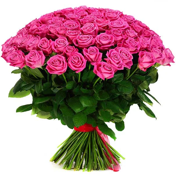 75-roze.webp
