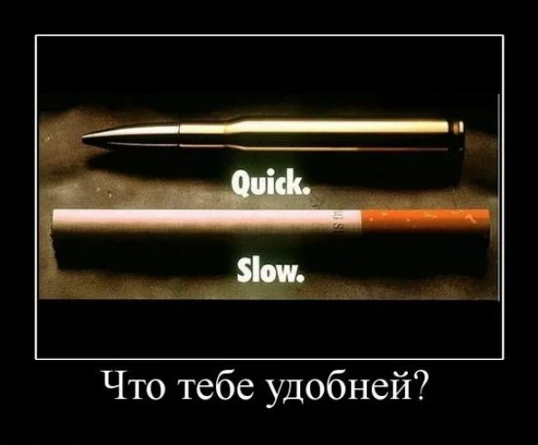 75.webp