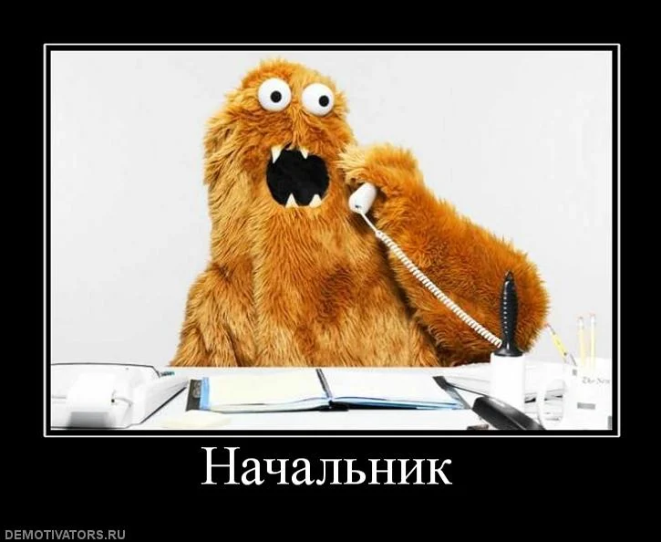 751215_nachalnik.webp