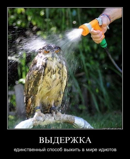 75365337.webp