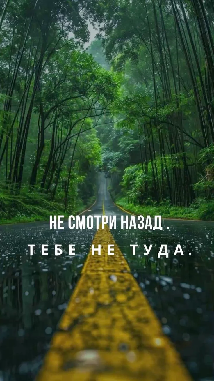 755d1b1cd0817bb59309a1d6af4a274c.webp